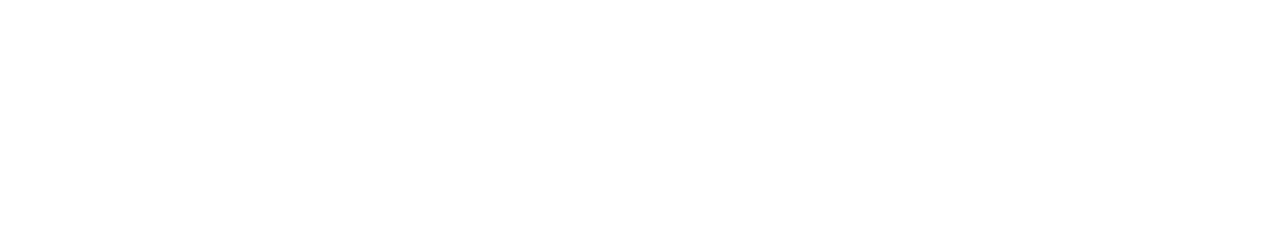 ELEMENTS MTB